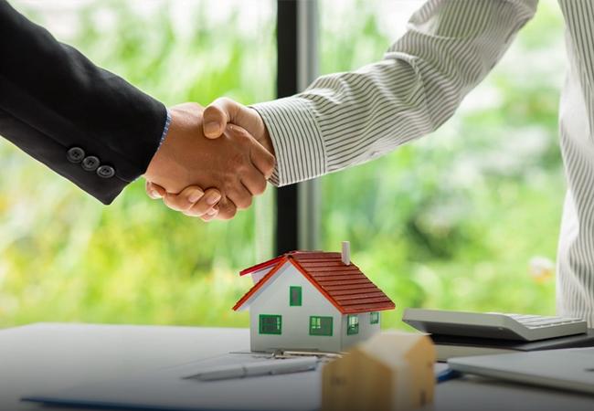 BUSINESS SETUP SUPPORT